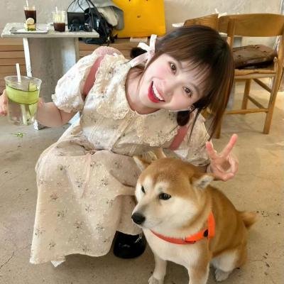 上错老豆身
